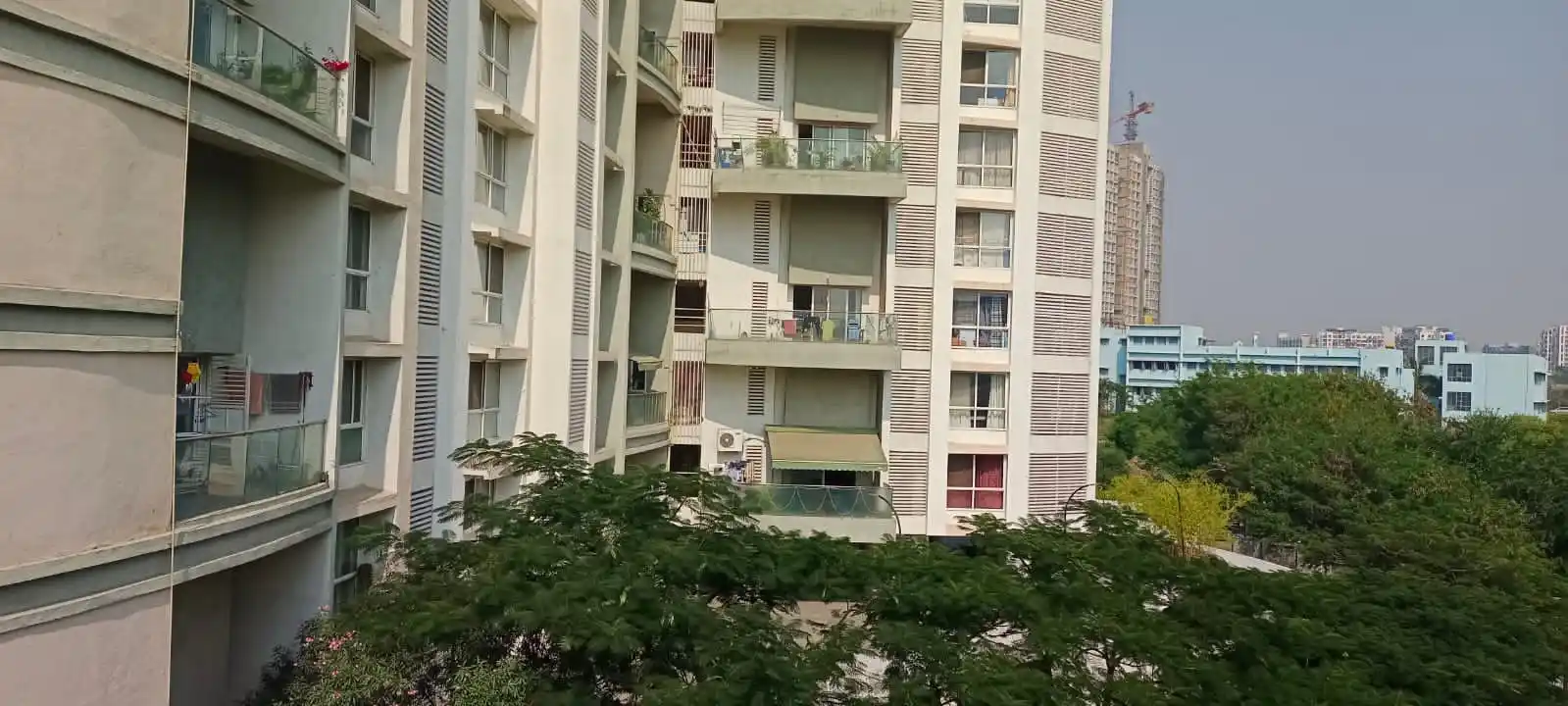 To-let Easy Living PG Patil BU Photo 1