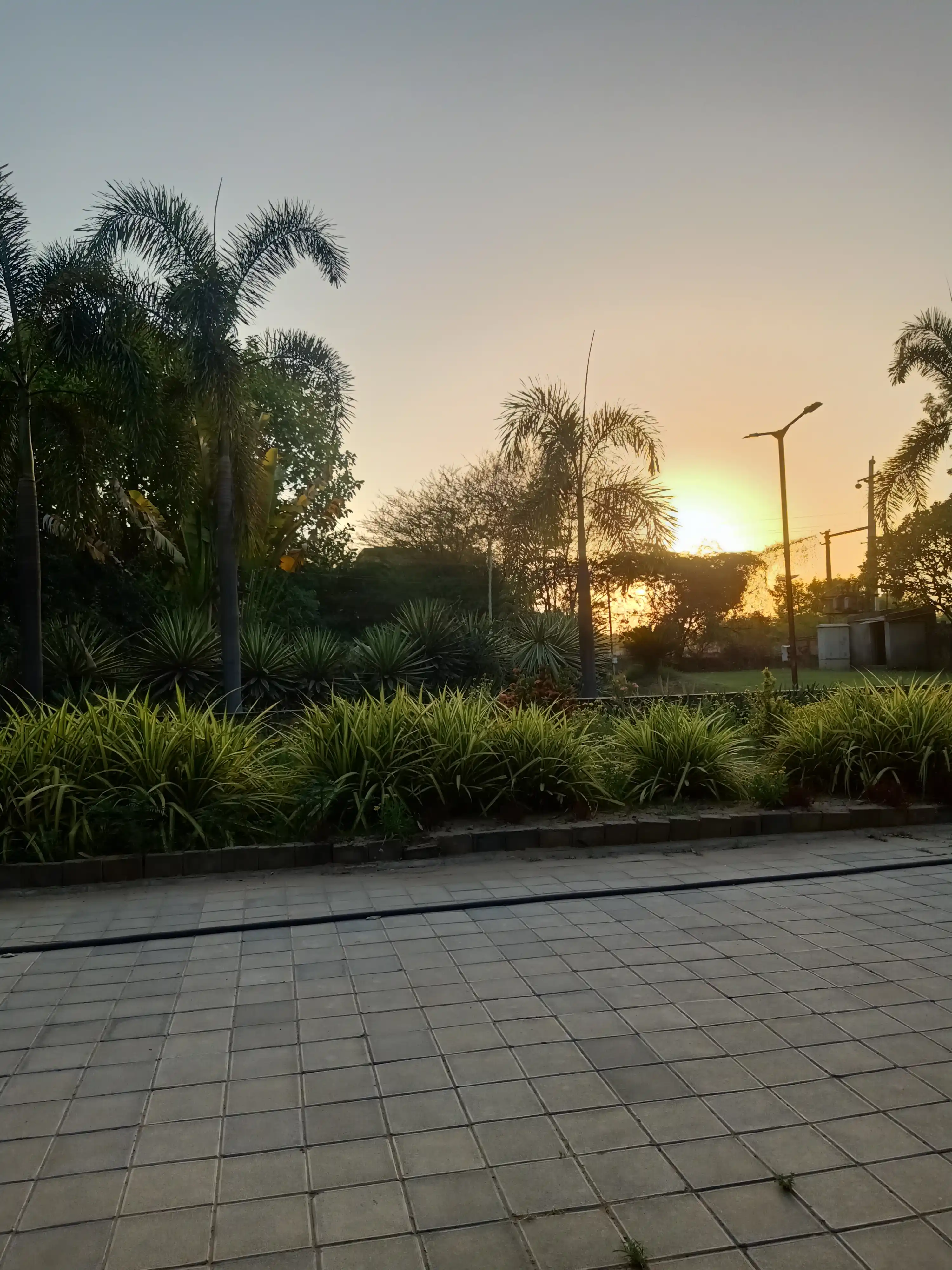 Trezure Enclave Photo 2 Trezure Enclave Photo 2