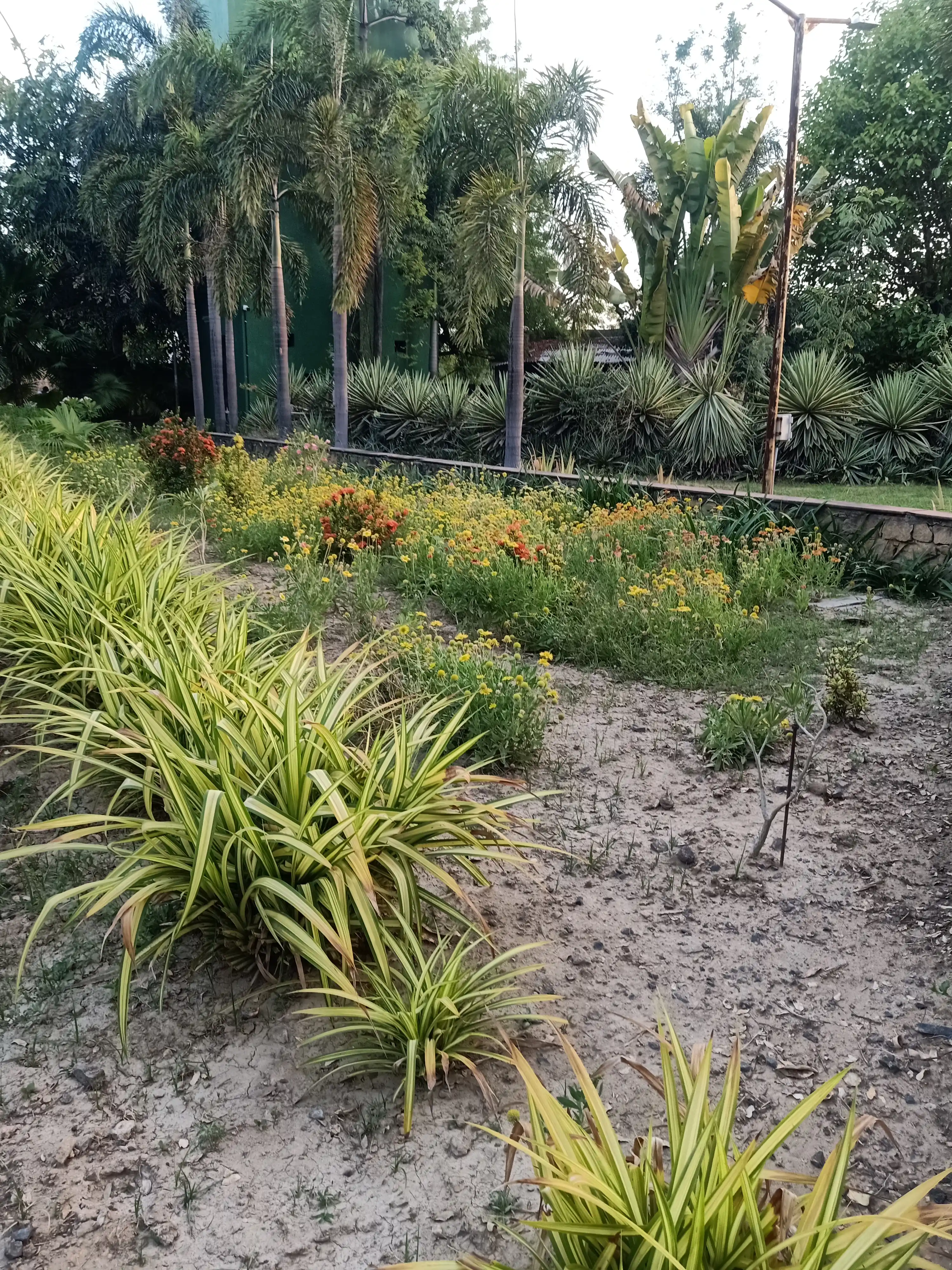 Trezure Enclave Photo 5 Trezure Enclave Photo 5