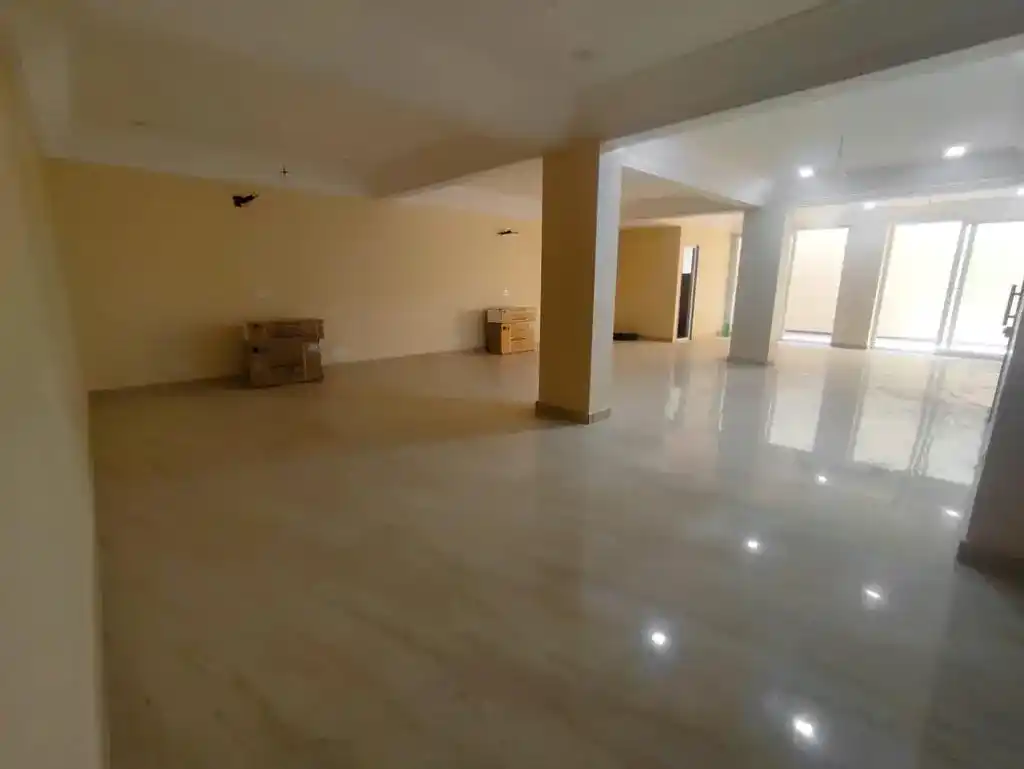 HomeCLONE Basement Photo 2