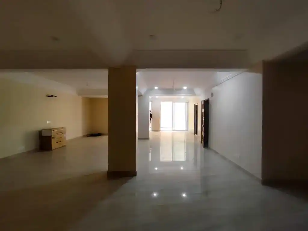 HomeCLONE Basement Photo 6