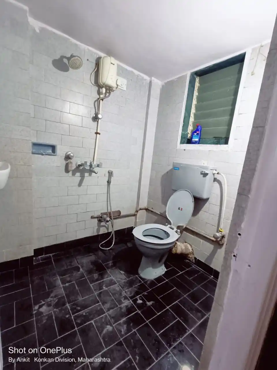 Celestial B 803 Photo 3 Celestial B 803 Photo 3