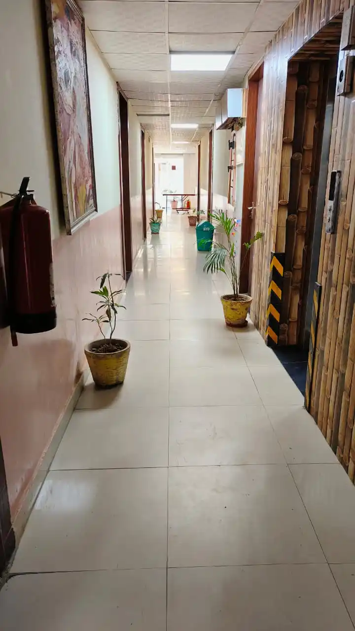 House No 1 - Image 20
