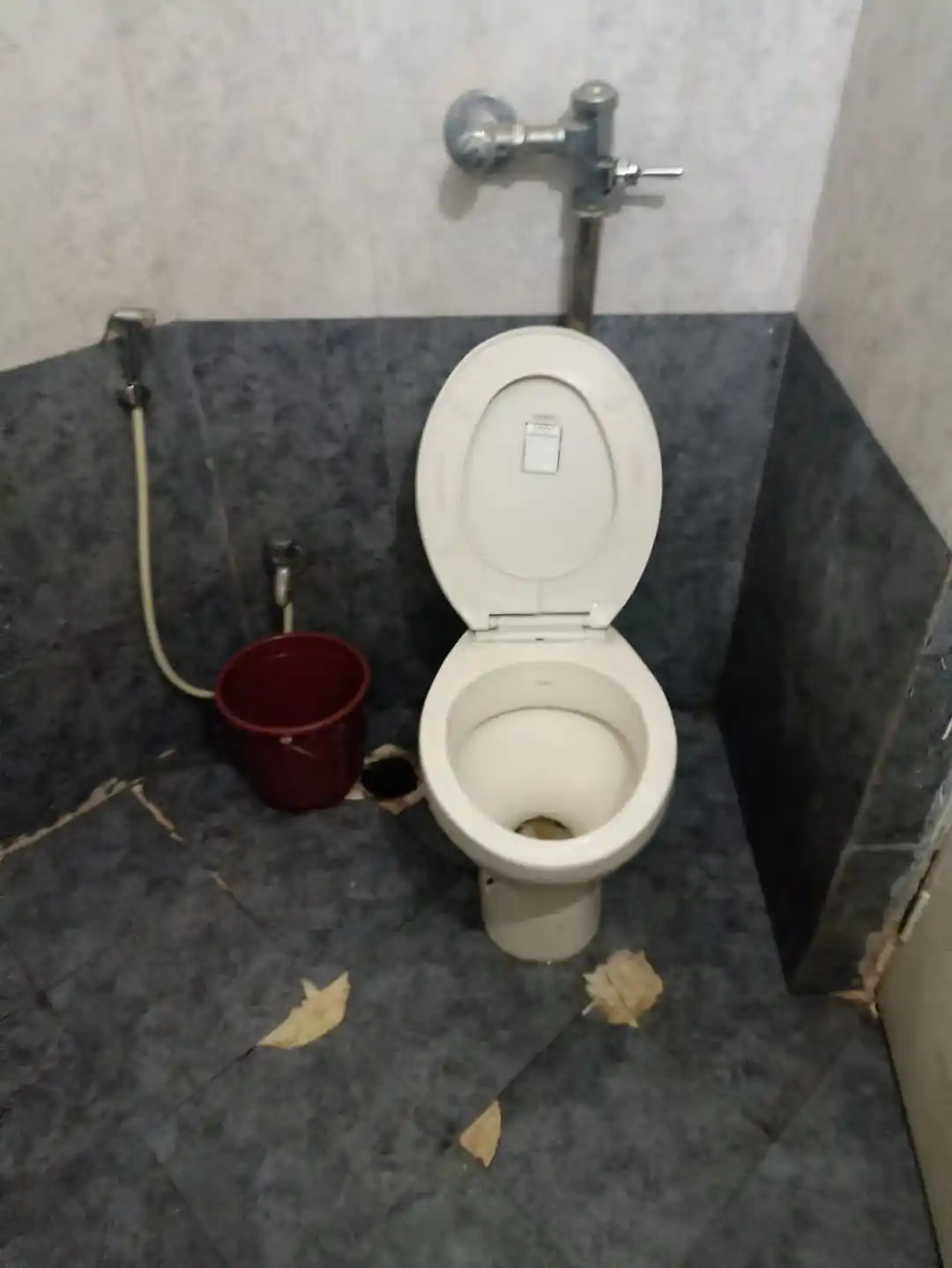 OXOTEL EXCEL Photo 2