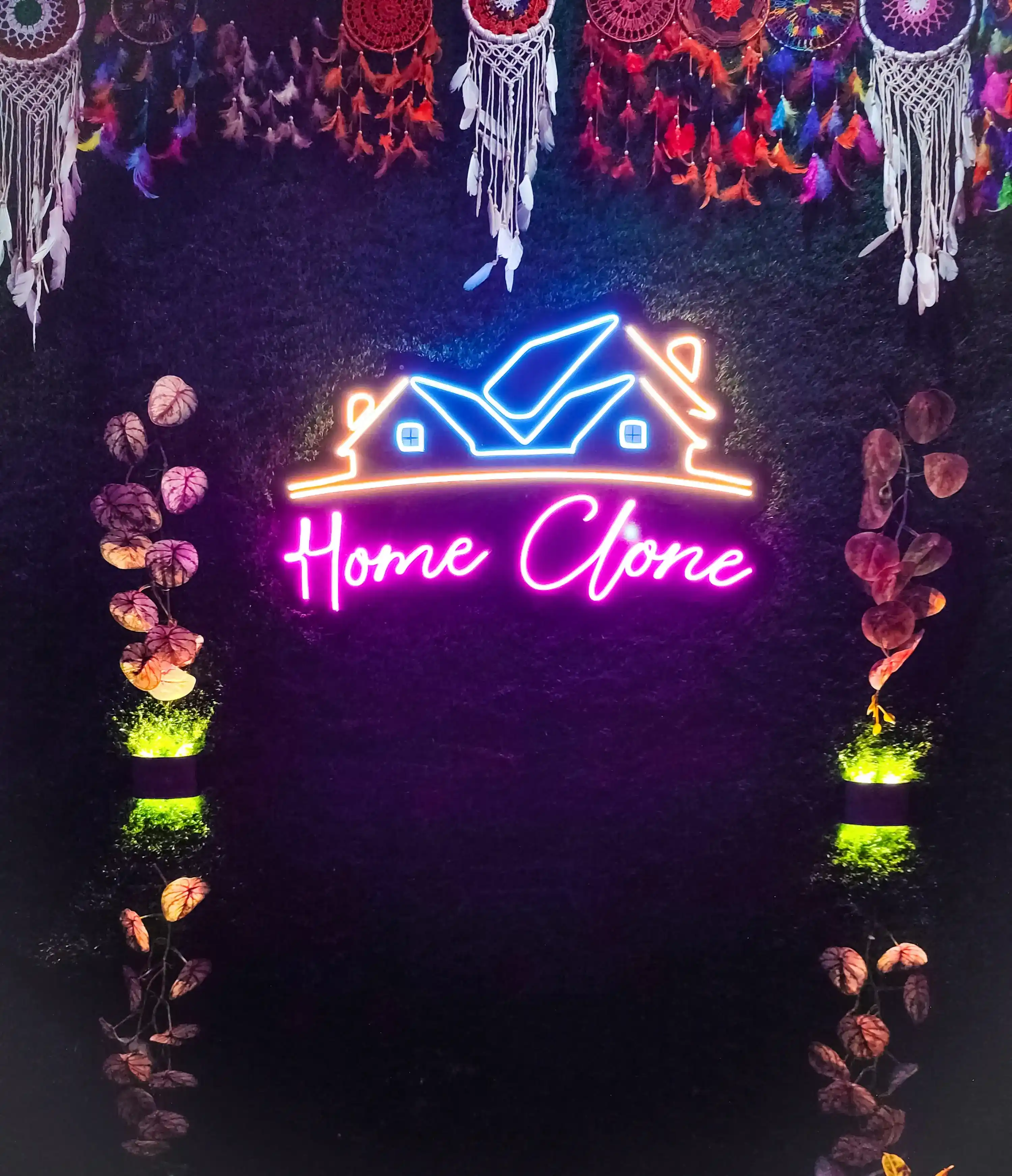 homeCLONE 705/46 Photo 3