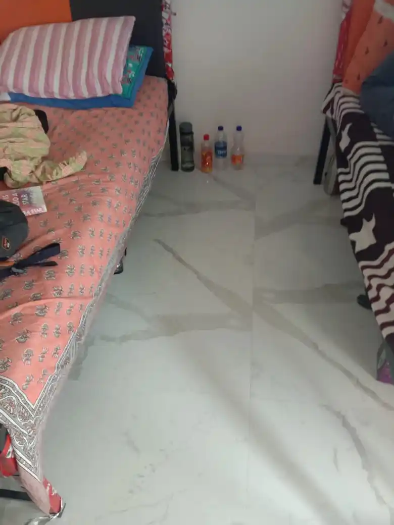 Bluemen Elite B-703 Photo 3 Bluemen Elite B-703 Photo 3