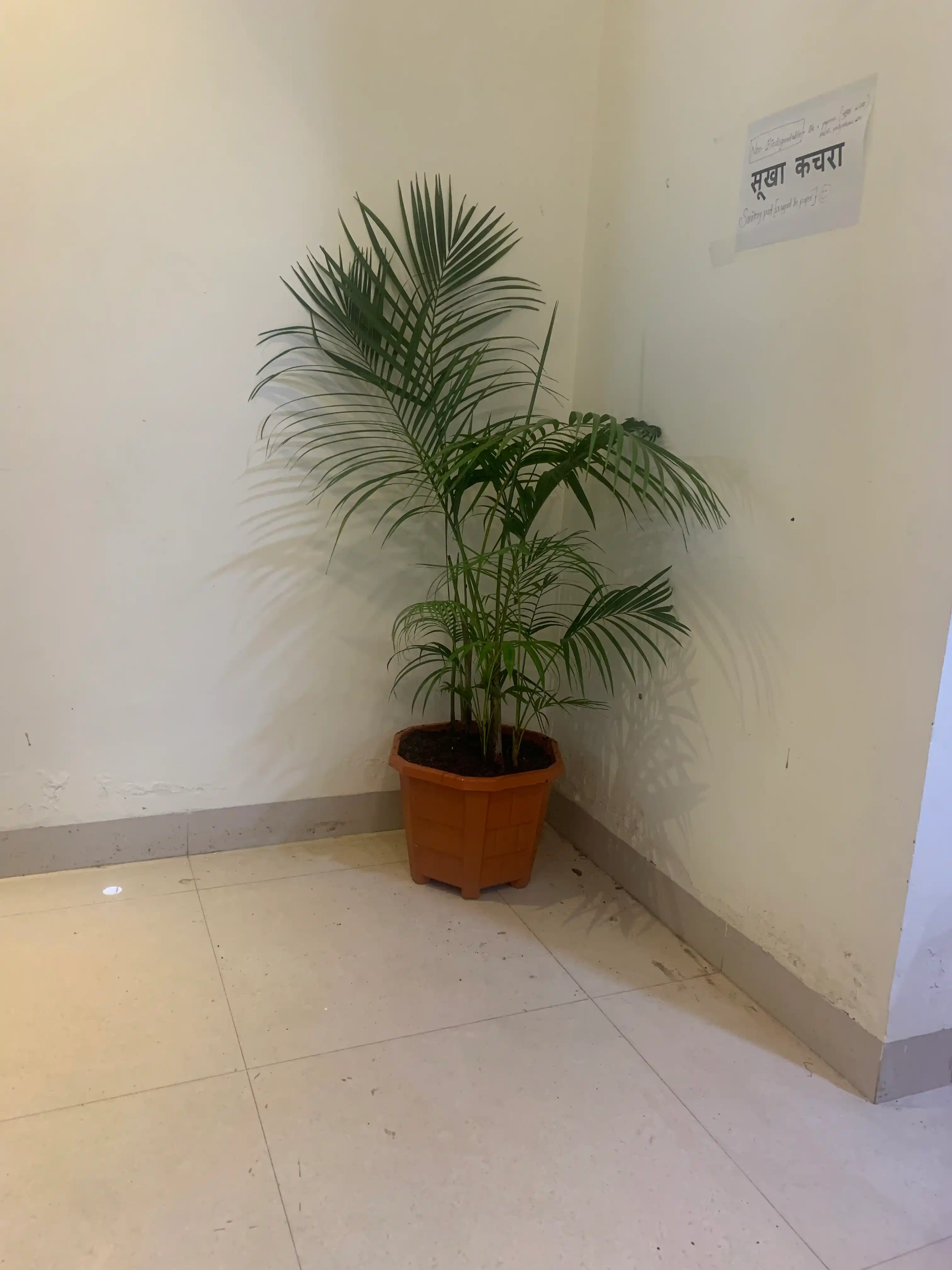 Maa Vindeshwari Girls PG Photo 1 Maa Vindeshwari Girls PG Photo 1