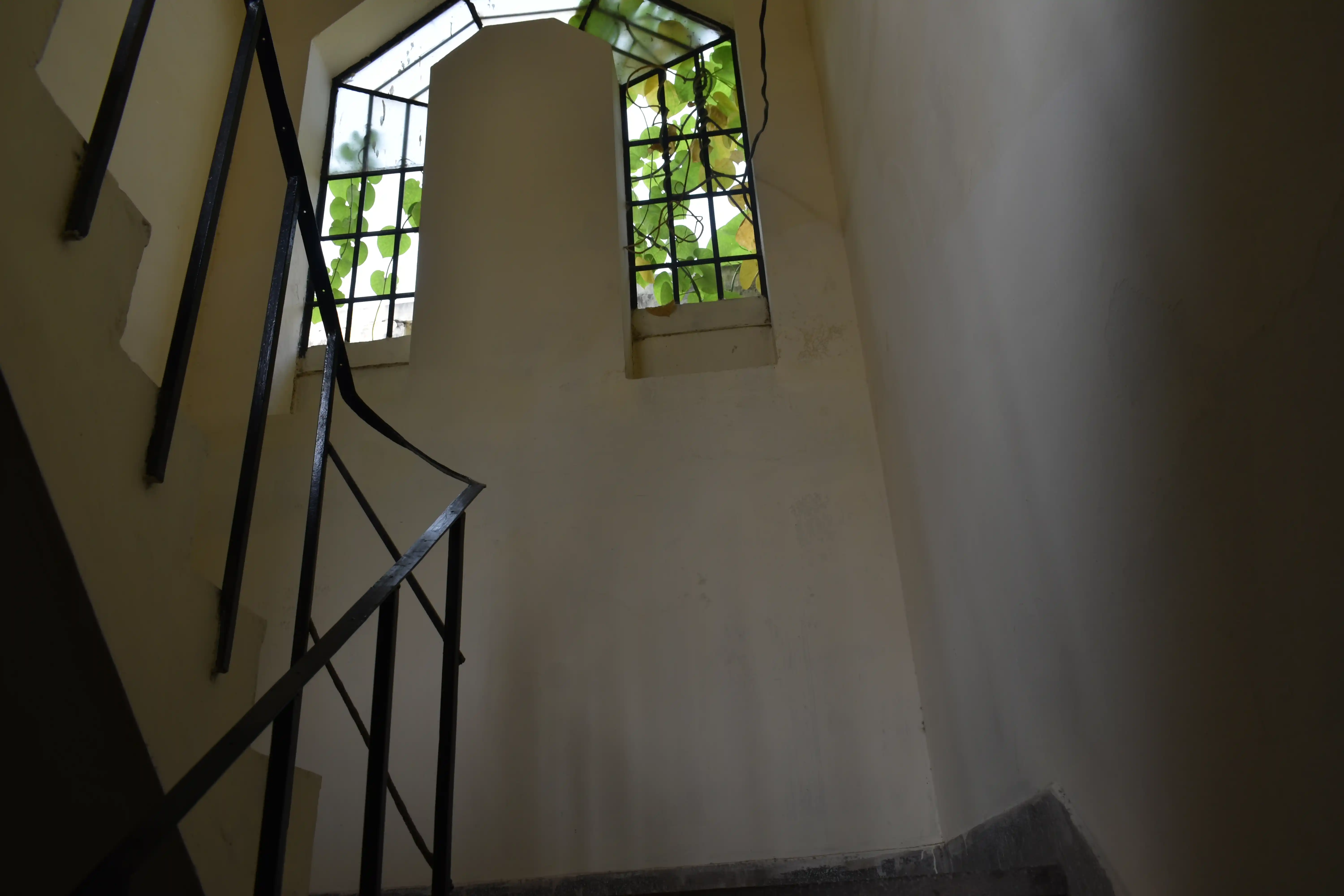 A736 Photo 1 A736 Photo 1