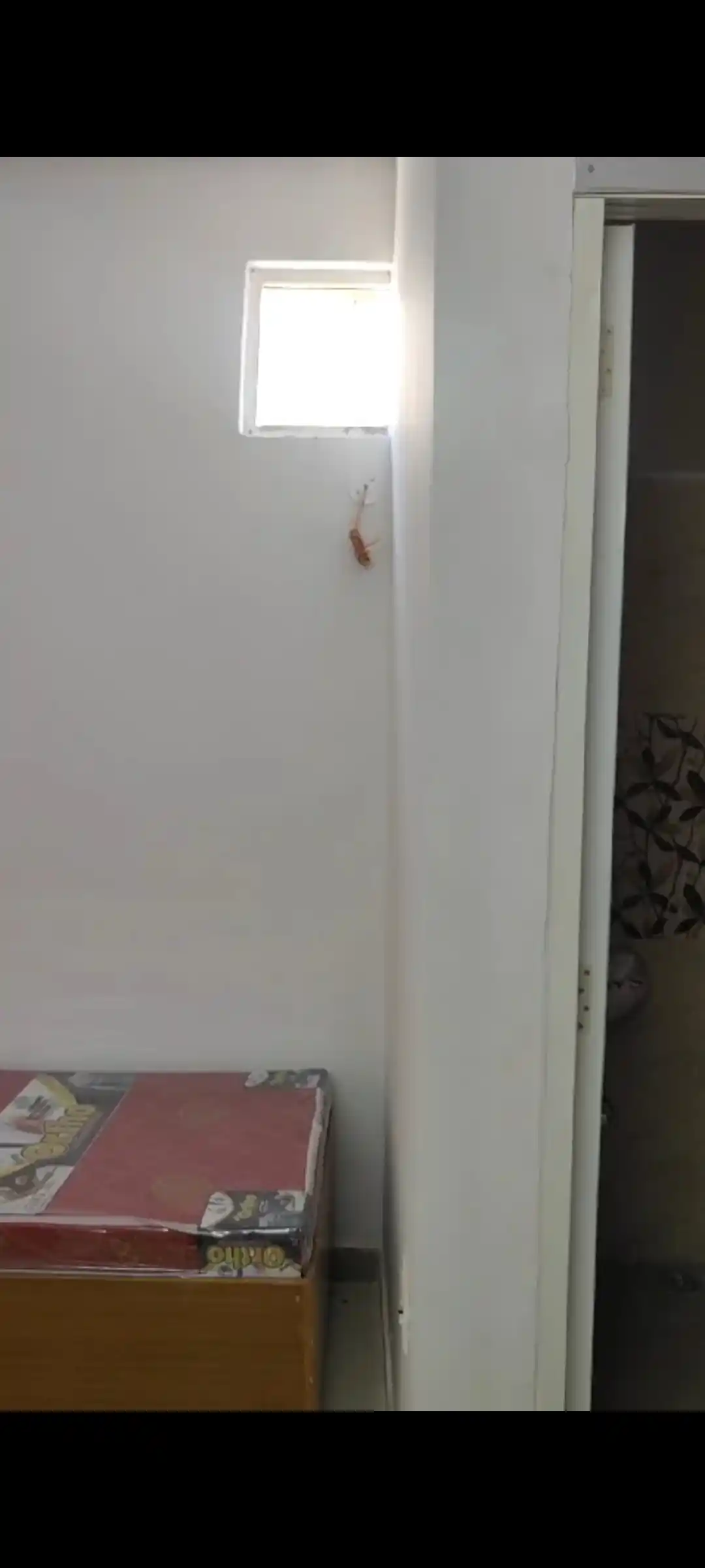 New Trupati Photo 3 New Trupati Photo 3