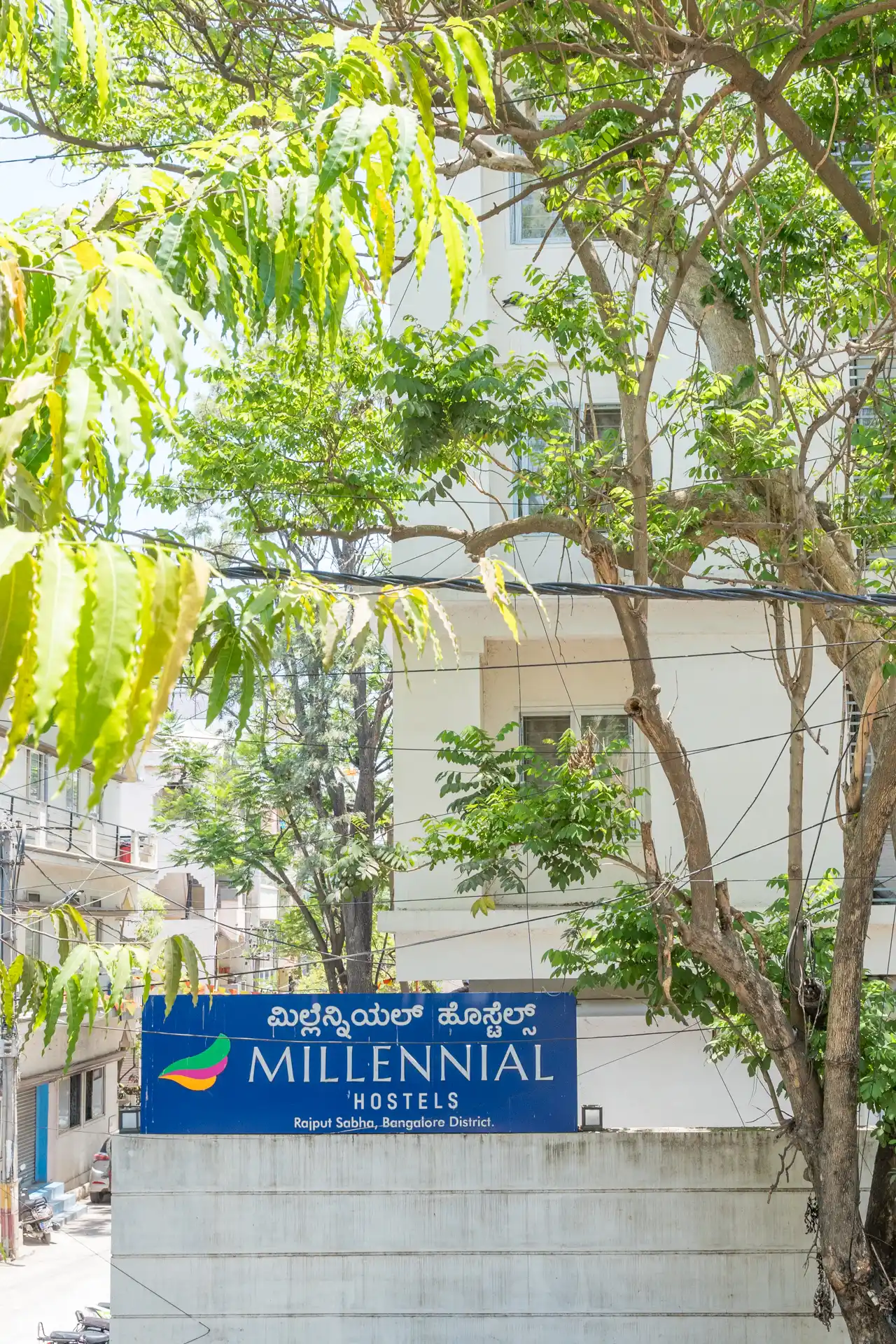 Millennial Onyx Photo 4