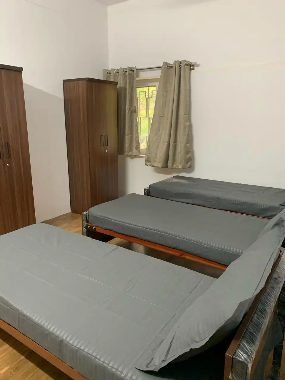 Hive Living Dickenson Rd - Image 11