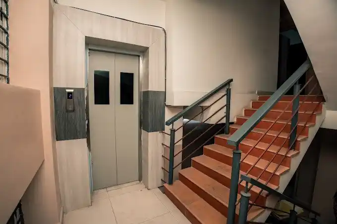 Chegu's Perennial Girls Photo 2 Chegu's Perennial Girls Photo 2