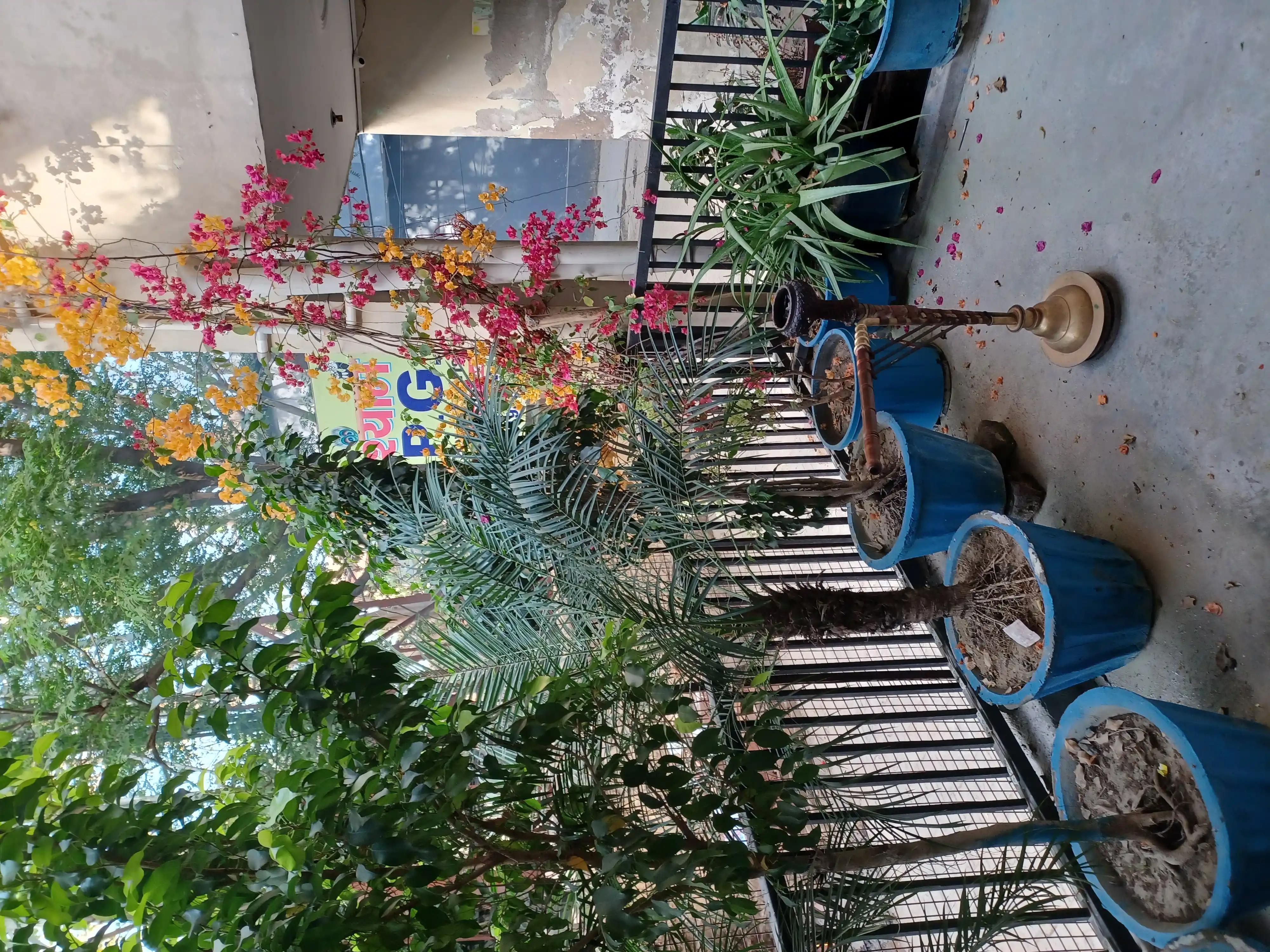 Shyam Kunj PG & Hostel Photo 2