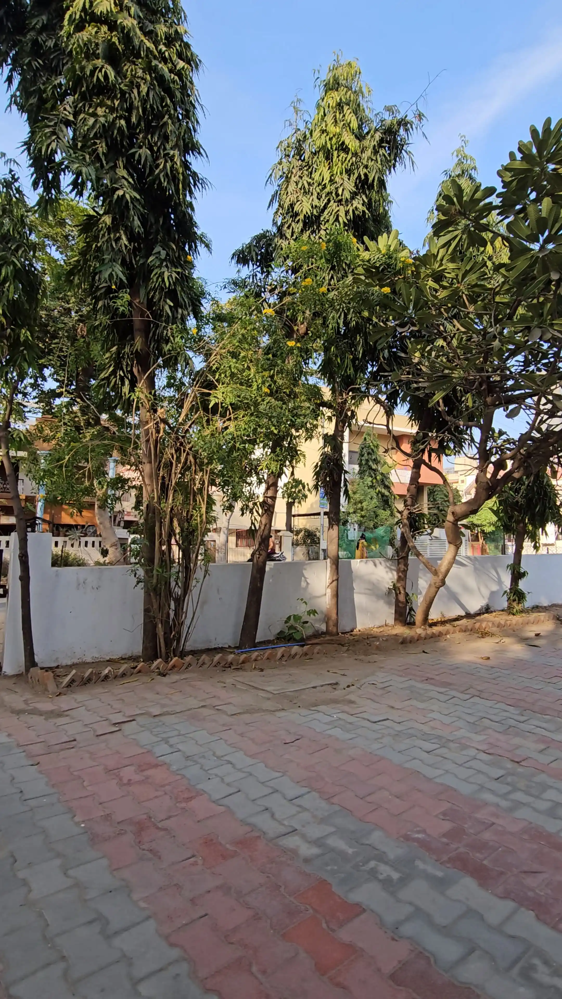 Urban Nest Photo 2 Urban Nest Photo 2