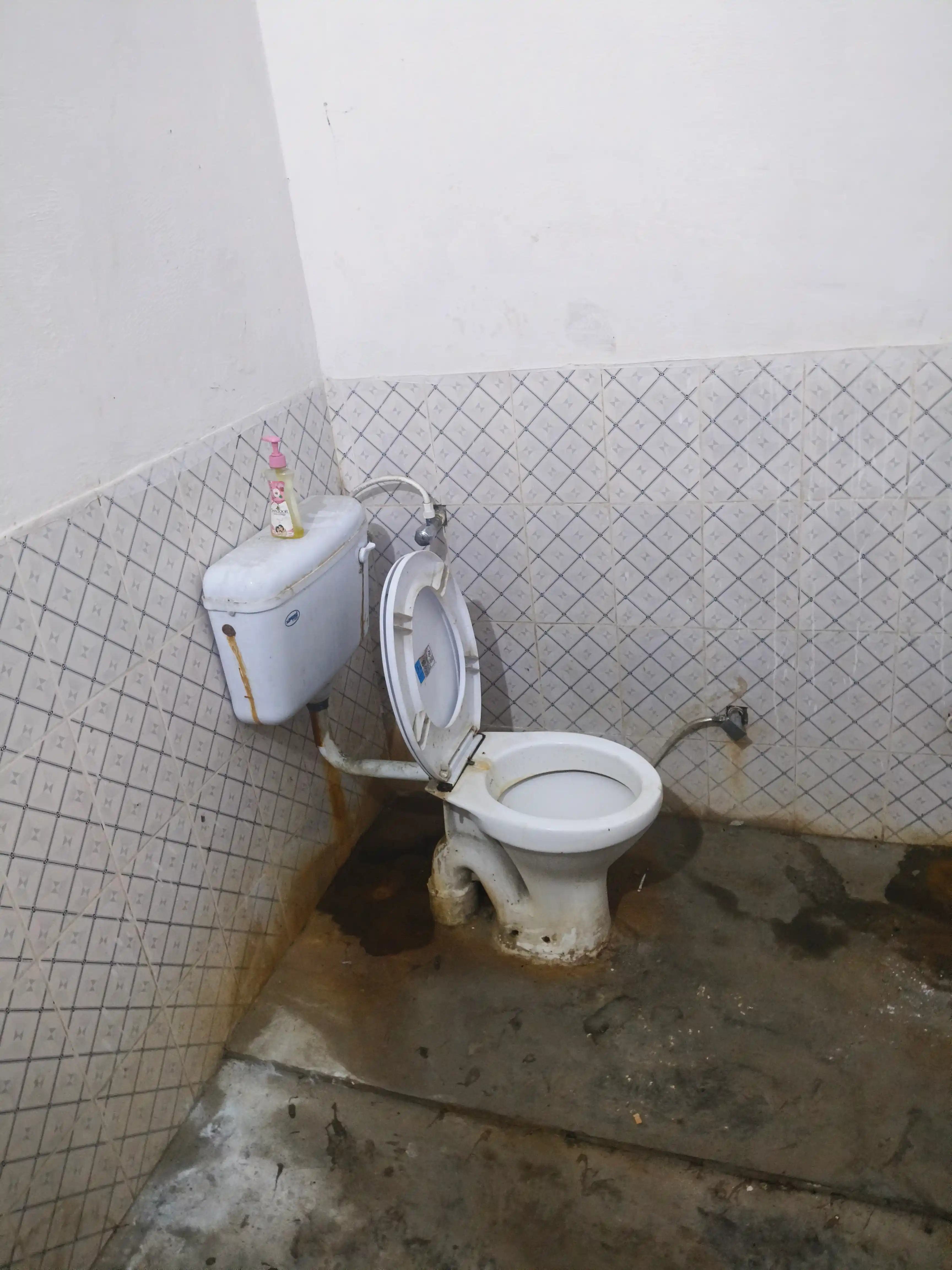 Om Pg House Photo 3 Om Pg House Photo 3