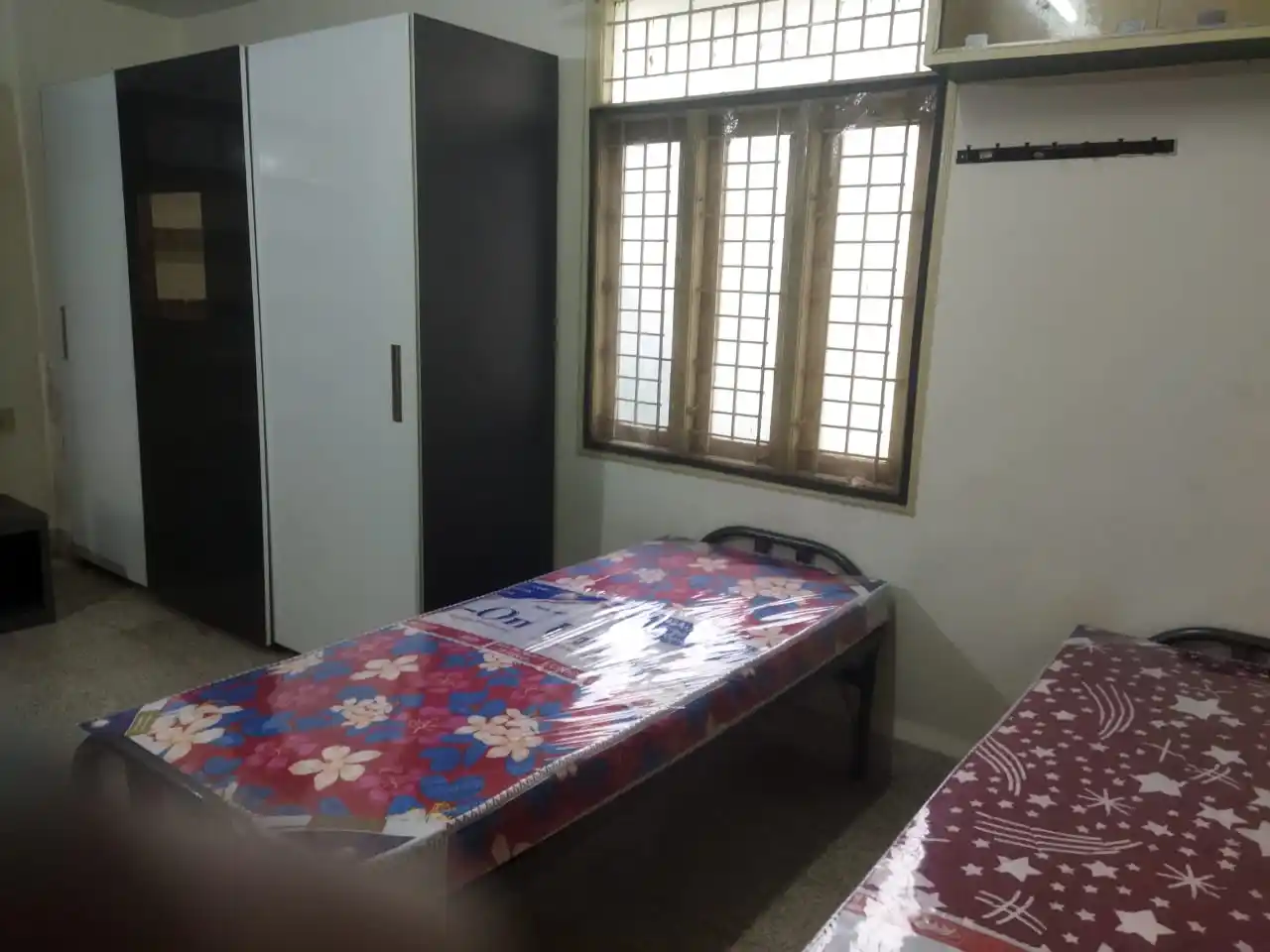 OM PG2 Photo 3 OM PG2 Photo 3