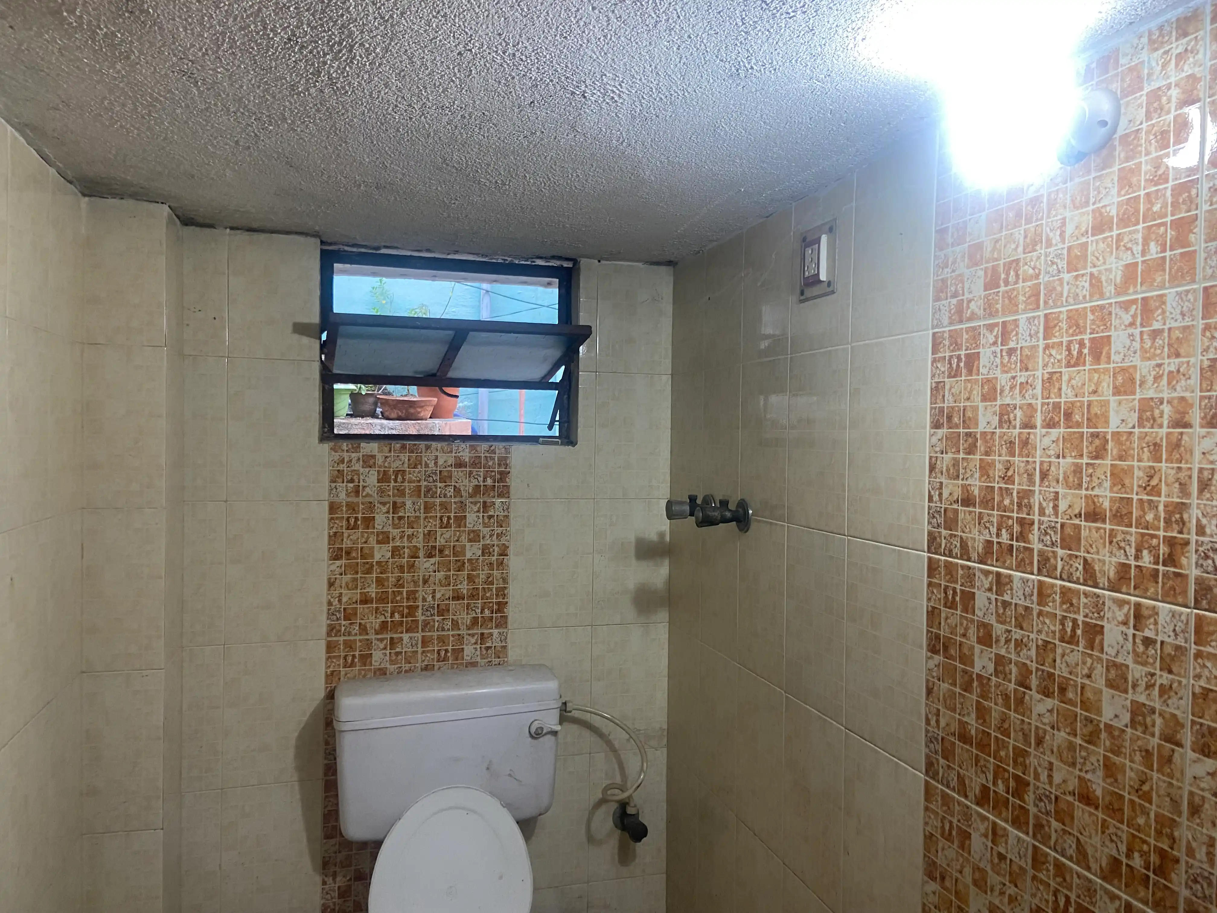 JOLLYVILLA Photo 1 JOLLYVILLA Photo 1