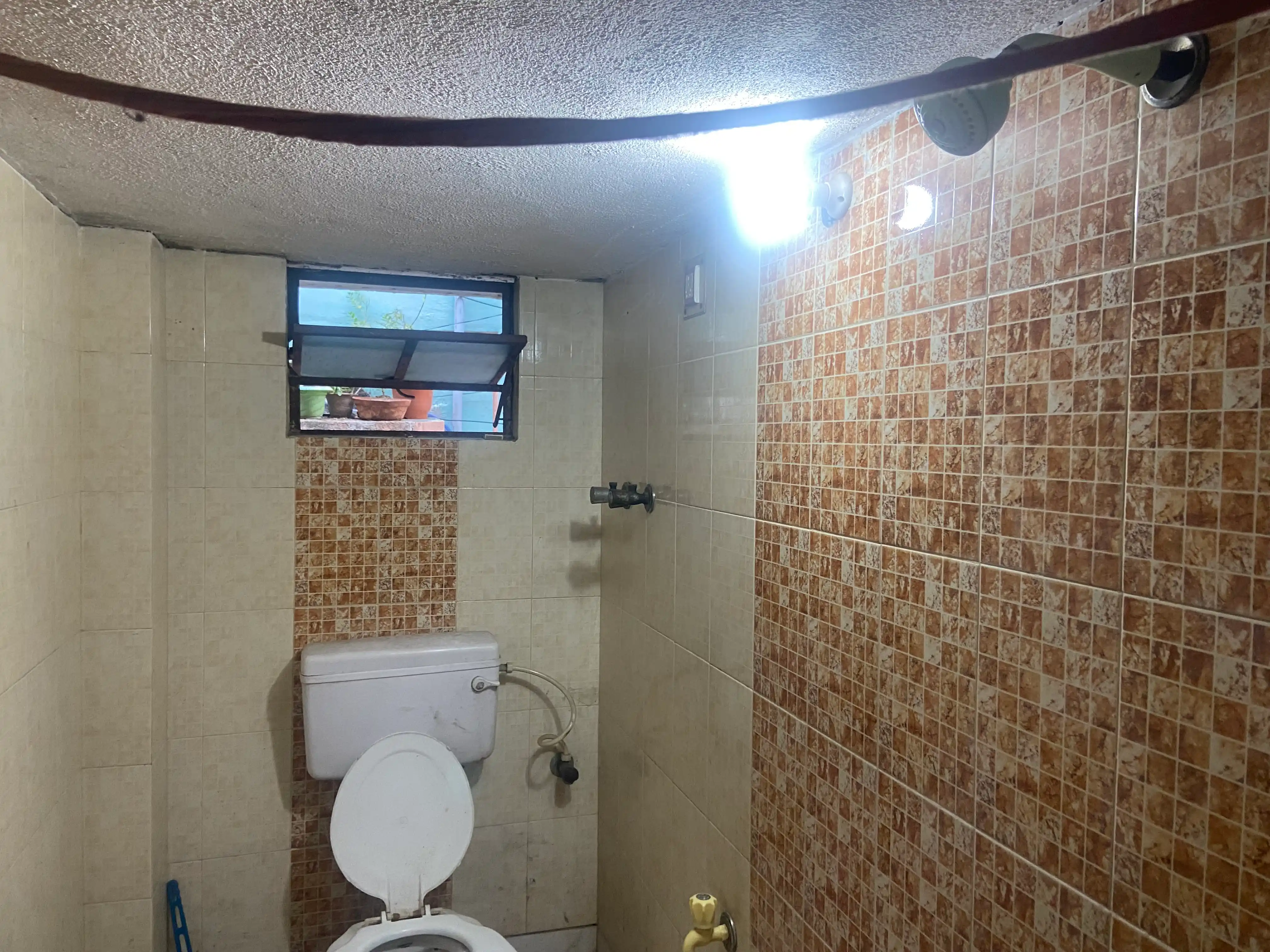 JOLLYVILLA Photo 3 JOLLYVILLA Photo 3