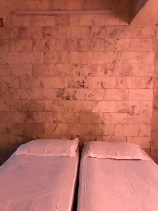 Tarla Daily PG31 Photo 5